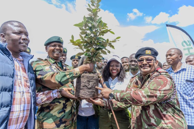 CHEPALUNGU FOREST ADOPTION